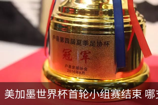 美加墨世界杯首轮小组赛结束 哪支球队最令人失望？